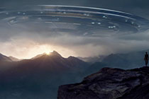 老师考试代码教师职业素养的神秘面纱